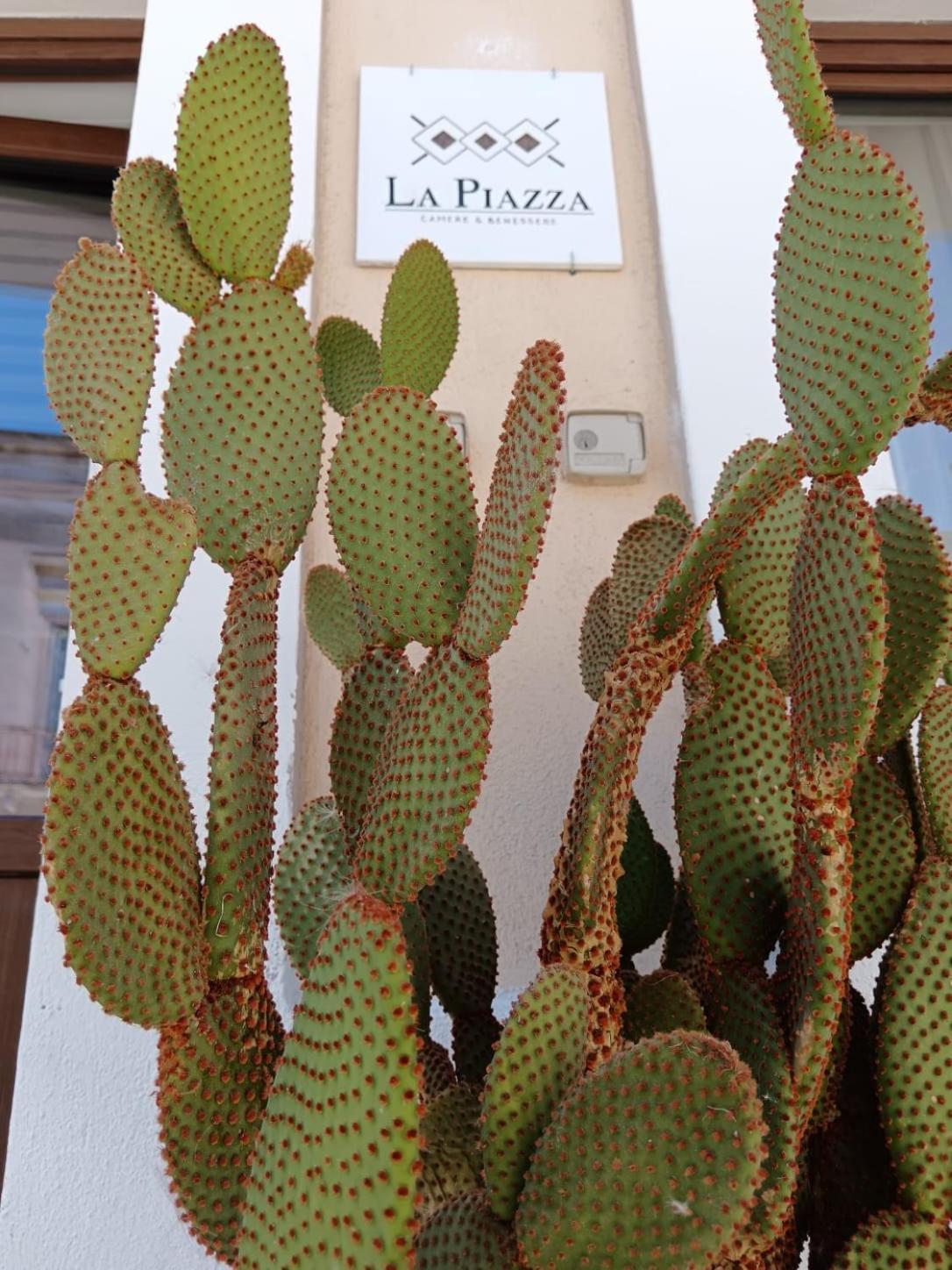 La Piazza Villa ซานจอร์โจ อิโอนิโค ภายนอก รูปภาพ